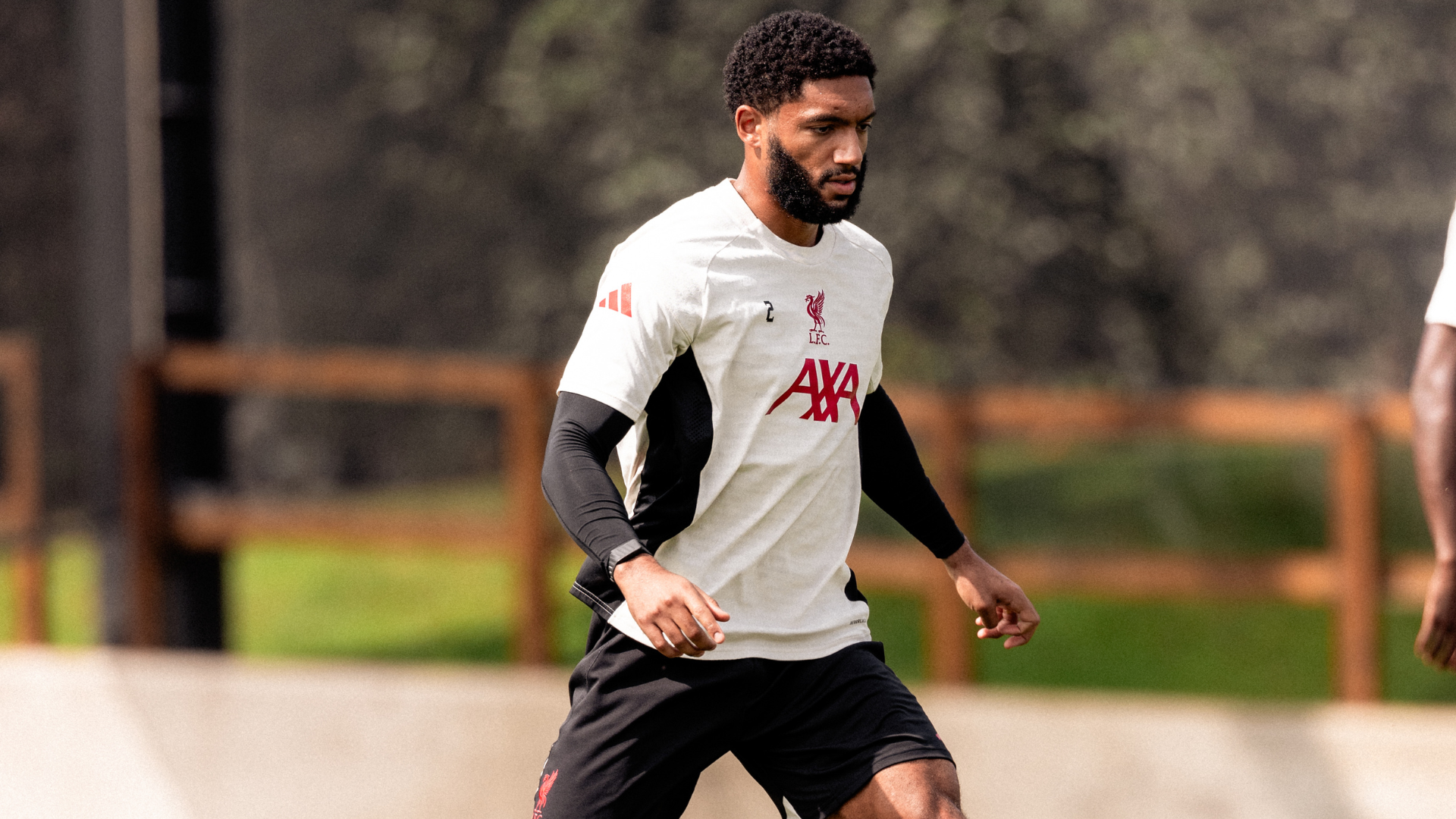 Untitled design (54)_16x9.png