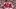 GettyImages-2231678751_16x9.jpg GettyImages-2231678751_16x9.jpg