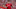 Untitled design (66)_16x9.png Untitled design (66)_16x9.png