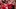 GettyImages-2229472741_16x9.jpg GettyImages-2229472741_16x9.jpg