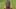 Konate Konate