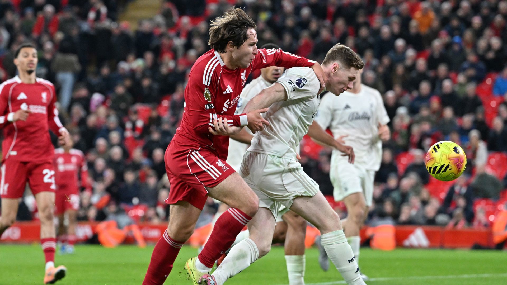 Untitled design (56)_16x9.jpg