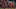 GettyImages-2236992547_16x9.jpg GettyImages-2236992547_16x9.jpg