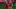 Untitled design - 2025-10-26T122902.935_16x9.png Untitled design - 2025-10-26T122902.935_16x9.png