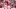 GettyImages-2229864550_16x9.jpg GettyImages-2229864550_16x9.jpg