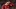 GettyImages-2237021524_16x9.jpg GettyImages-2237021524_16x9.jpg