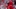 GettyImages-2233072711_16x9.jpg GettyImages-2233072711_16x9.jpg