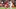 GettyImages-2242016781_16x9.jpg GettyImages-2242016781_16x9.jpg