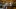 GettyImages-2213076589_16x9.jpg GettyImages-2213076589_16x9.jpg