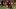 GettyImages-2204158846_16x9.jpg GettyImages-2204158846_16x9.jpg