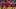 - (67)_16x9.png - (67)_16x9.png