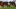 GettyImages-2235049619_16x9.jpg GettyImages-2235049619_16x9.jpg