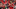 17. 18 (3)_16x9.png 17. 18 (3)_16x9.png
