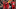- (37)_16x9.png - (37)_16x9.png
