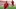 GettyImages-2233037200_16x9.jpg GettyImages-2233037200_16x9.jpg