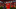 17. 18 (79)_16x9.png 17. 18 (79)_16x9.png
