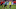 Add a heading (31)_16x9.png Add a heading (31)_16x9.png