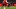 GettyImages-2241650210_16x9.jpg GettyImages-2241650210_16x9.jpg