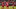 - (70)_16x9.png - (70)_16x9.png
