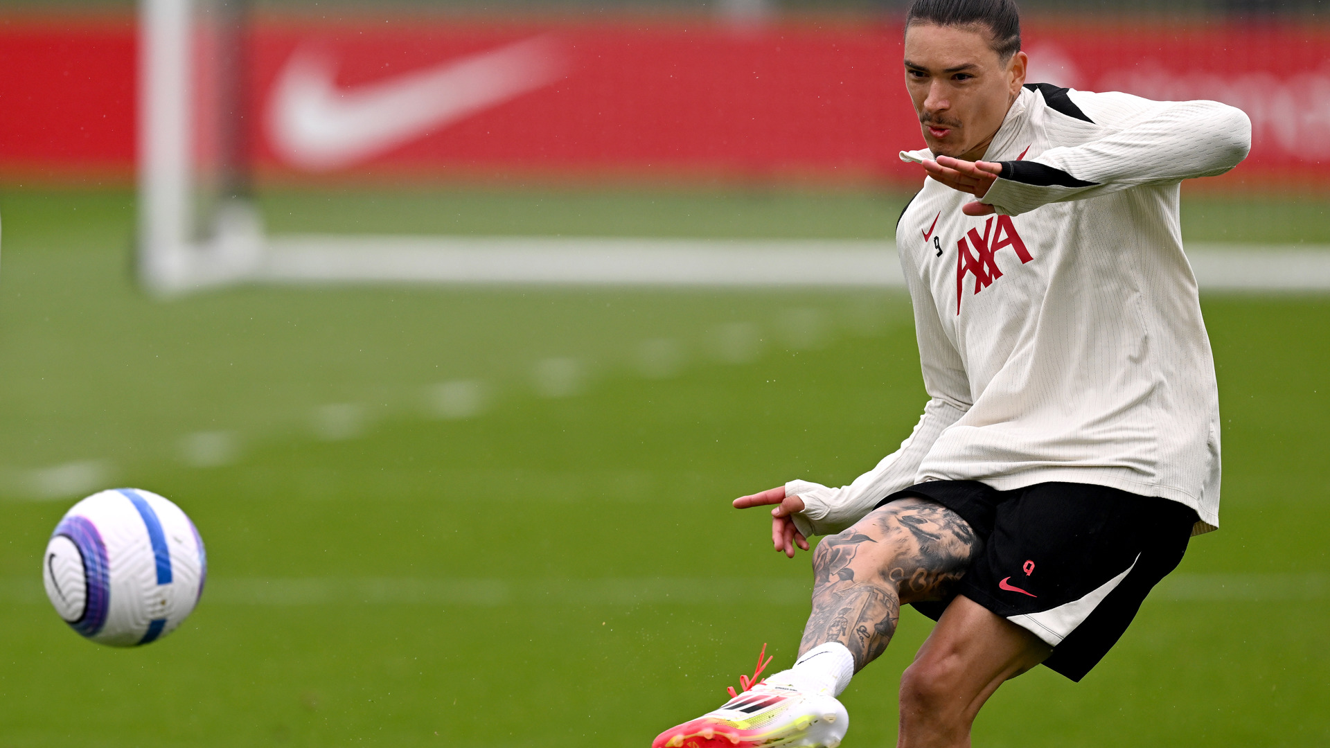 Darwin Napoli2_16x9.jpg