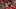 Joe Gomez spillerprofil Adidas Joe Gomez spillerprofil Adidas