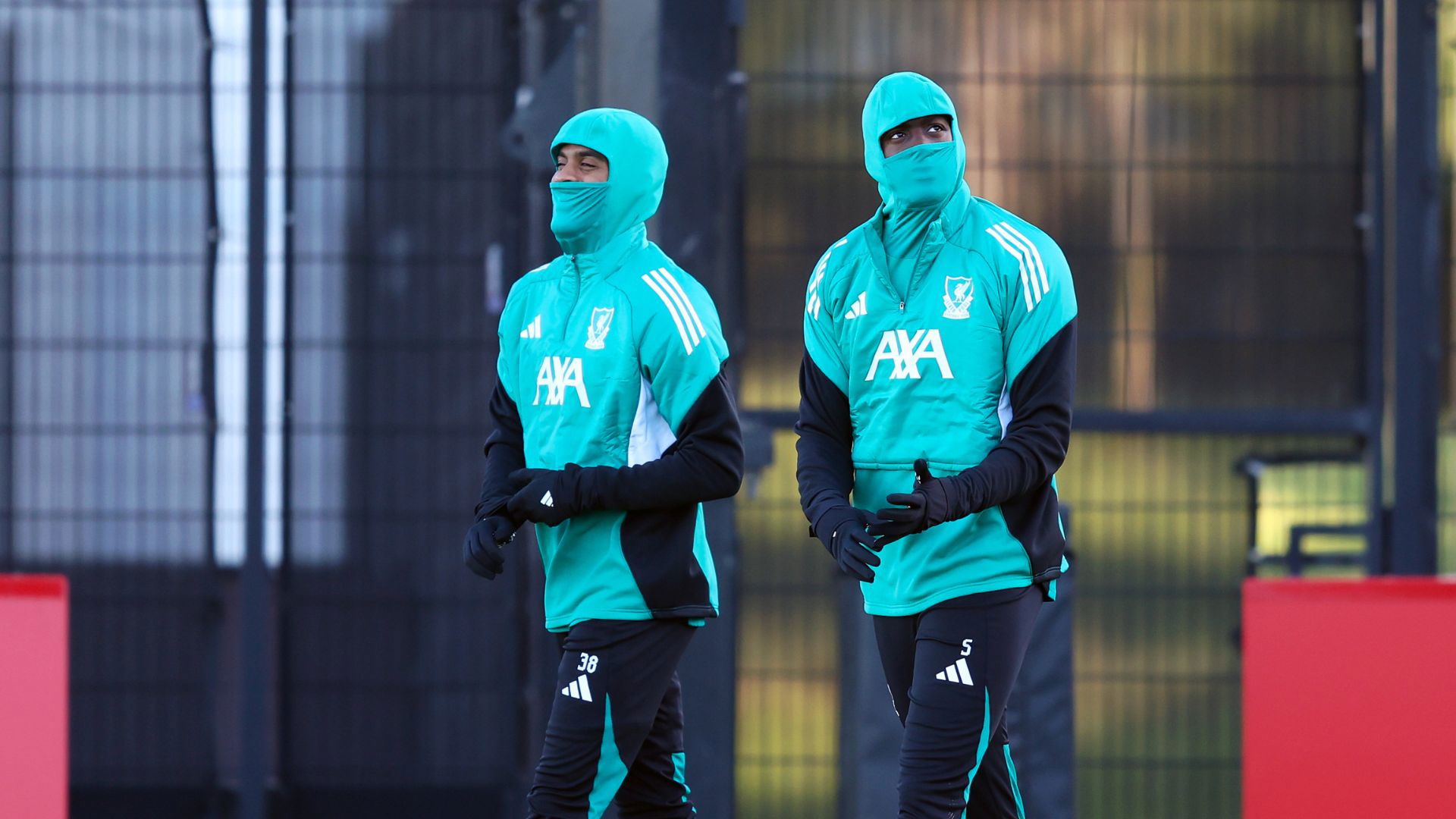 Untitled design (49)_16x9.jpg