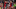 Untitled design (77)_16x9.png Untitled design (77)_16x9.png