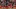 GettyImages-2236994377_16x9.jpg GettyImages-2236994377_16x9.jpg