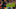 - (56)_16x9.png - (56)_16x9.png