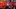 blueline1_16x9.jpg blueline1_16x9.jpg
