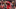 Add a heading (50)_16x9.png Add a heading (50)_16x9.png