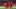 GettyImages-2212253048_16x9.jpg GettyImages-2212253048_16x9.jpg