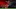 GettyImages-2213004158_16x9.jpg GettyImages-2213004158_16x9.jpg