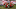 Man-Utd-Jota-tribute_16x9.png Man-Utd-Jota-tribute_16x9.png