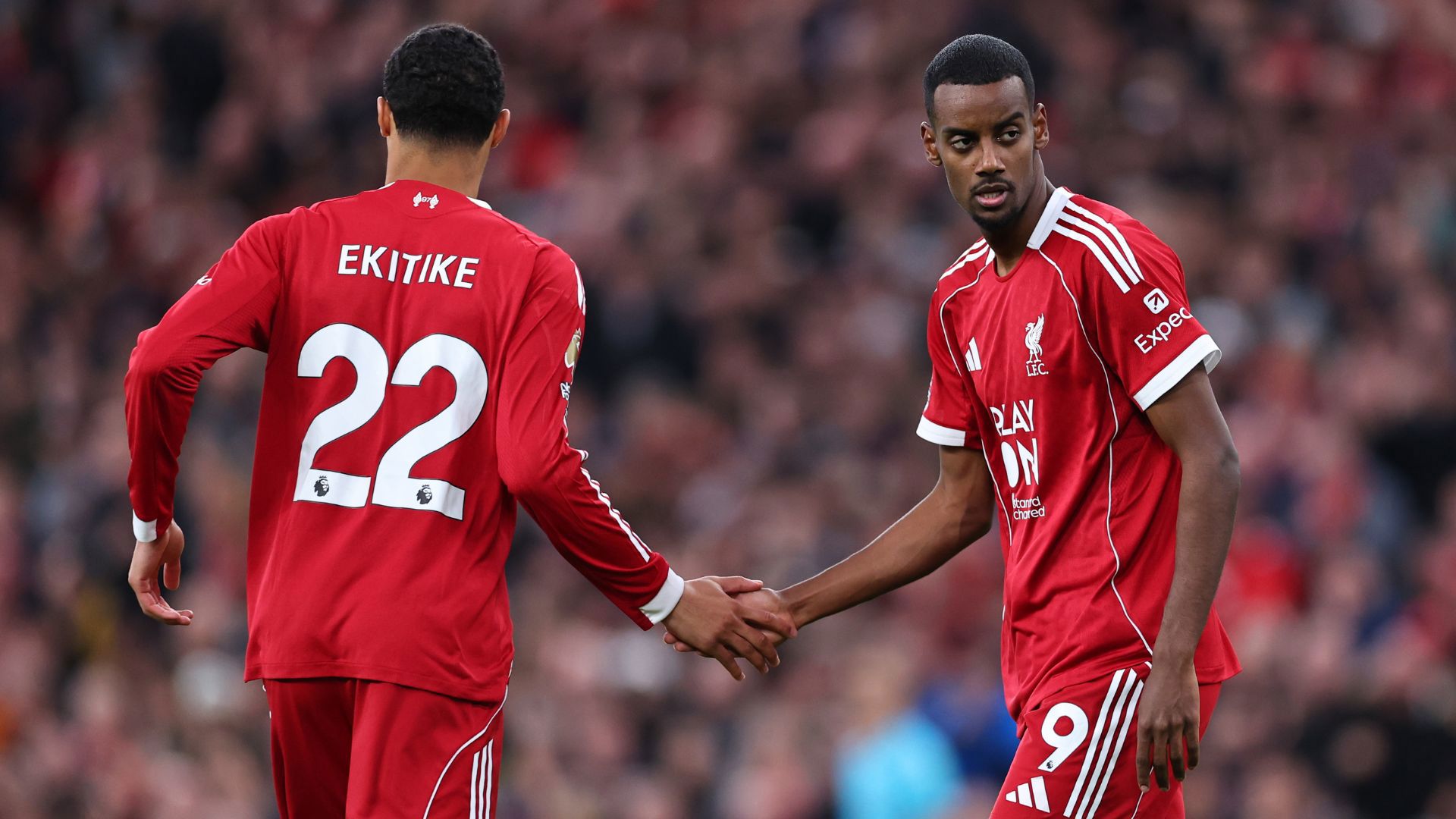 Untitled design (44)_16x9.jpg