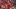 GettyImages-2236411080_16x9.jpg GettyImages-2236411080_16x9.jpg