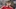 Conor Bradley spillerprofil (1) Conor Bradley spillerprofil (1)
