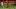 GettyImages-2236582799_16x9.jpg GettyImages-2236582799_16x9.jpg