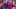 GettyImages-2211735859_16x9.jpg GettyImages-2211735859_16x9.jpg