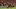 GettyImages-2238389668_16x9.jpg GettyImages-2238389668_16x9.jpg