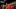GettyImages-2227104677_16x9.jpg GettyImages-2227104677_16x9.jpg