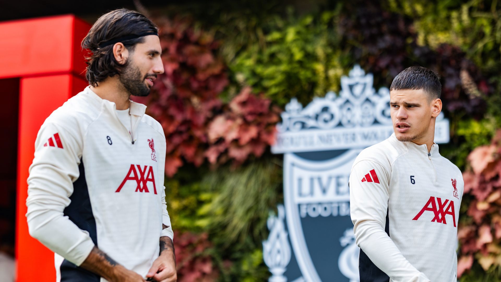 Untitled design (21)_16x9.jpg