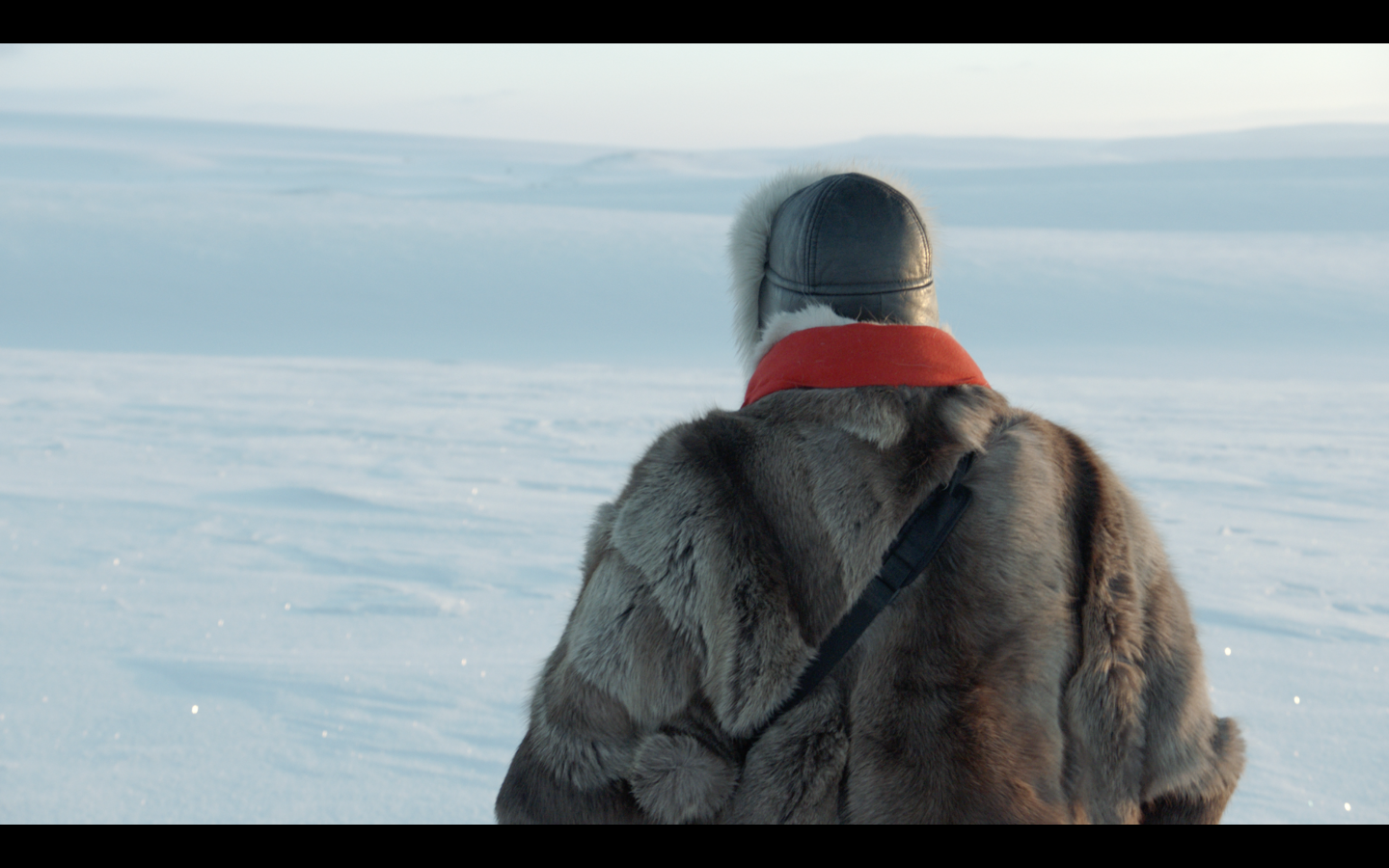 Screen Shot 2017-01-26 at 11.25.03.png