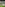 Kan dette være mannen som løser Liverpools midtbaneutfordringer?