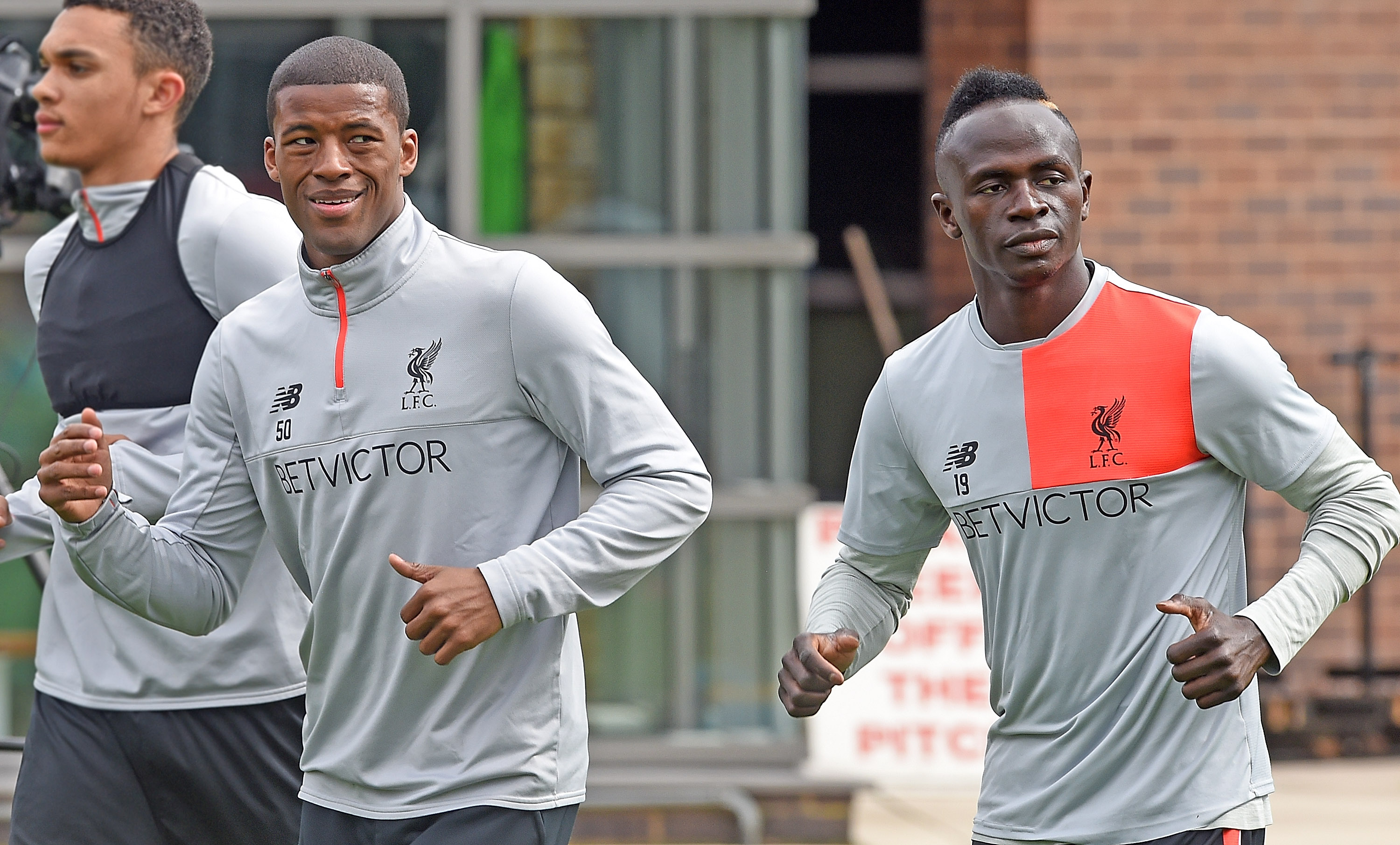 Wijnaldum mane.jpg