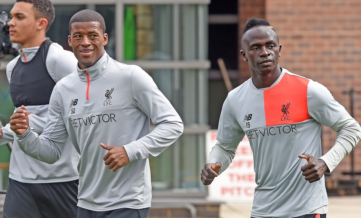 Wijnaldum mane.jpg