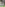 Nå er det en annen Premier League-klubb som linkes til brasilianeren
